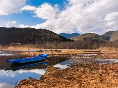 바비 카지노 모바일 앱